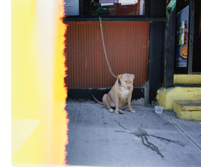 Tim Senavitis Portfolio Archive - TIM SENAVITIS